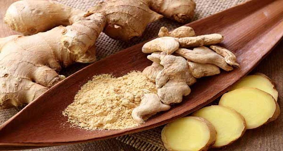 Ginger properties